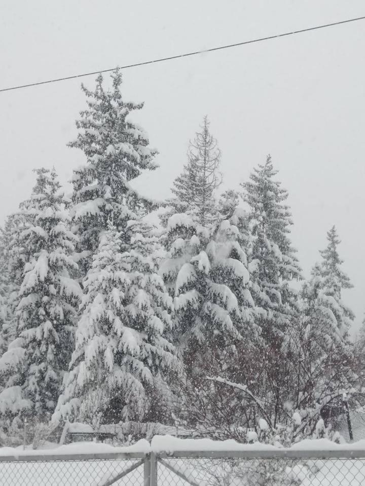Cicha Dolinka * Zakopane